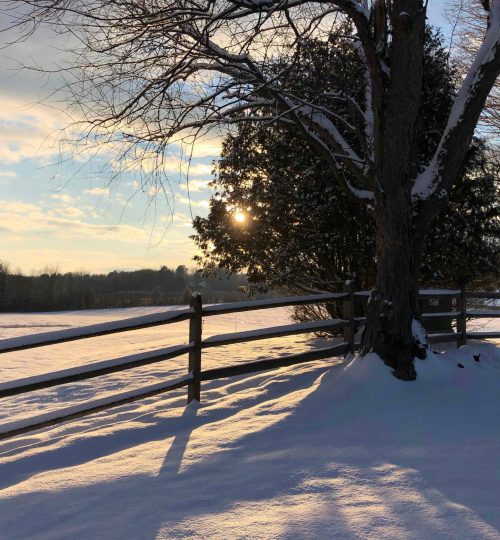 Appalachian-Split-Rail-Winter-Sun