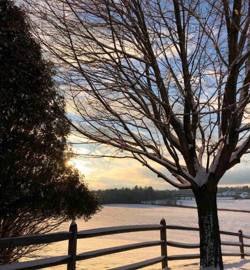 Appalachian-Split-Rail-Winter-Warm-Sun-Tree